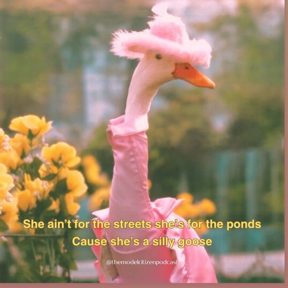 🪿💚💚💚